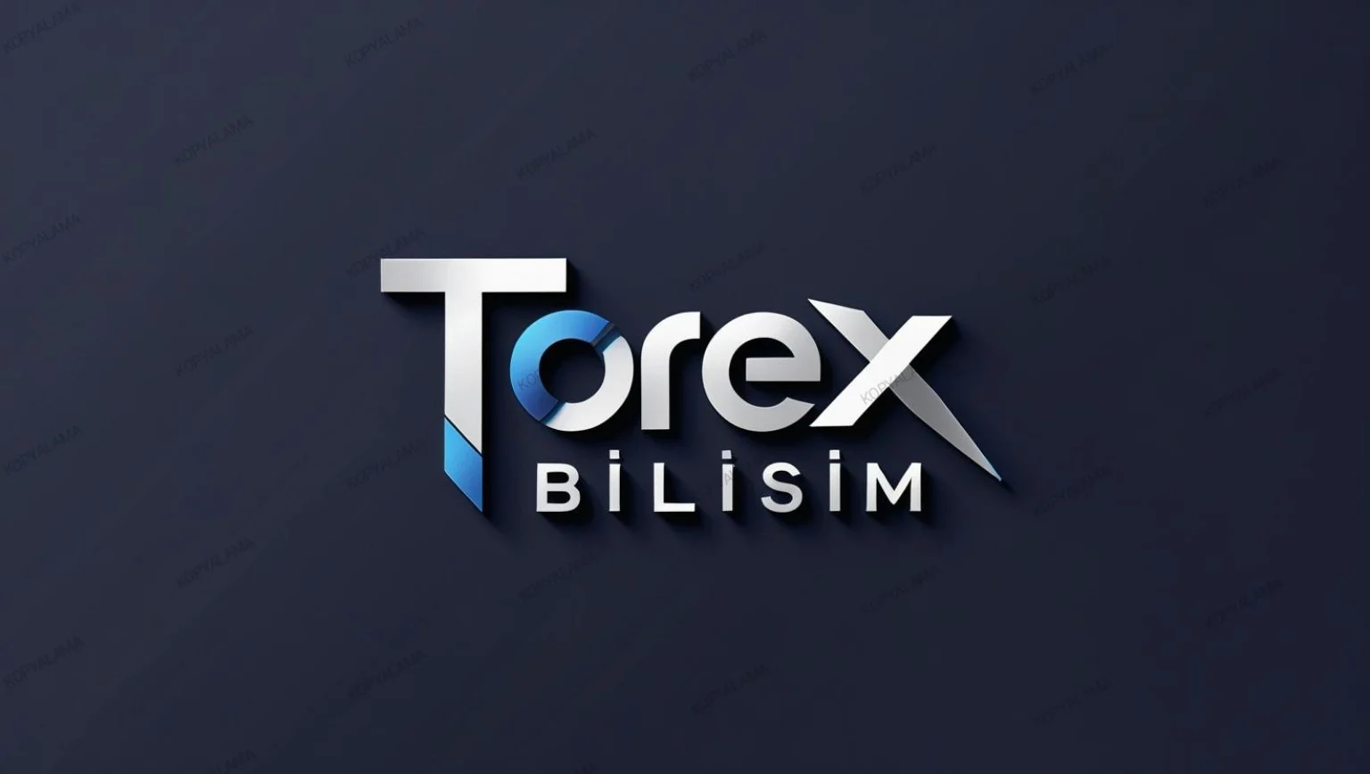 Torex Bilişim